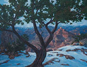 Grand Canyon Winter