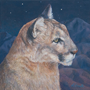 Portrait of a Mountain Lion