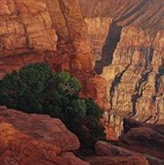 Toroweap Afternoon Drama Painting by Brenda Howell showing dramatic late afternoon light on the colorful rock walls at Toroweap Point in the far west of Grand Canyon National Park in Arizona.